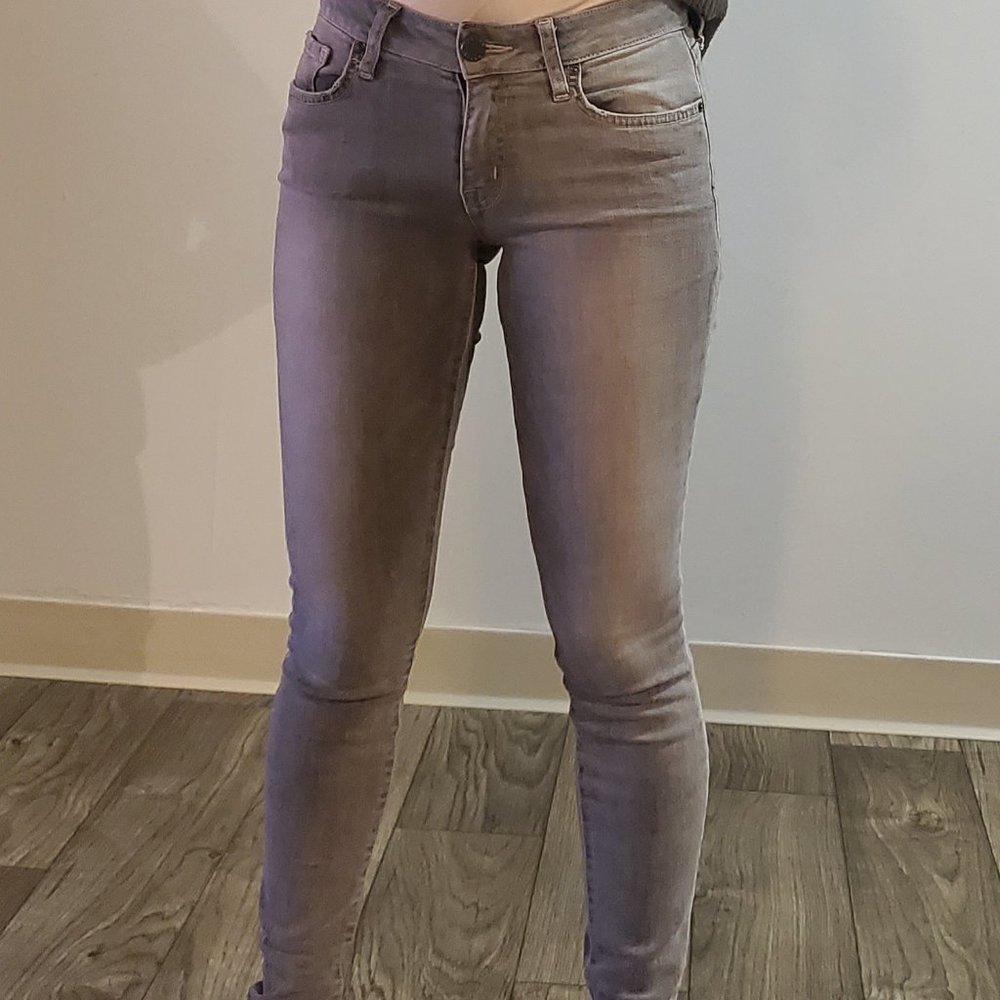 Jacob Davis Gray Skinny Jeans